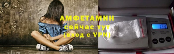 дмт Алзамай