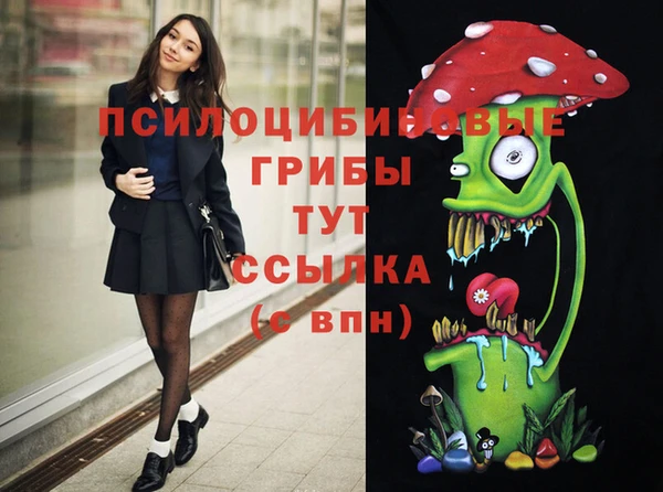 дмт Алзамай