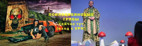 дживик Абаза