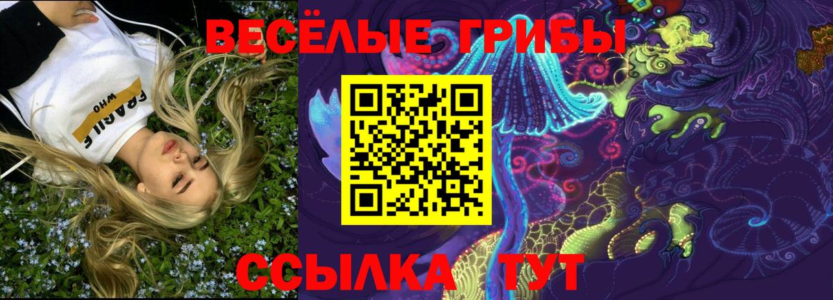Саянск  Галлюциногенные грибы мицелий  где купить наркотик  Вход с VPN 